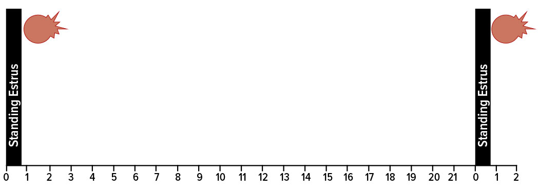 Graph with two black bars on each side and two red dots on each side representing reproductive fertilization.